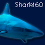 Shark160